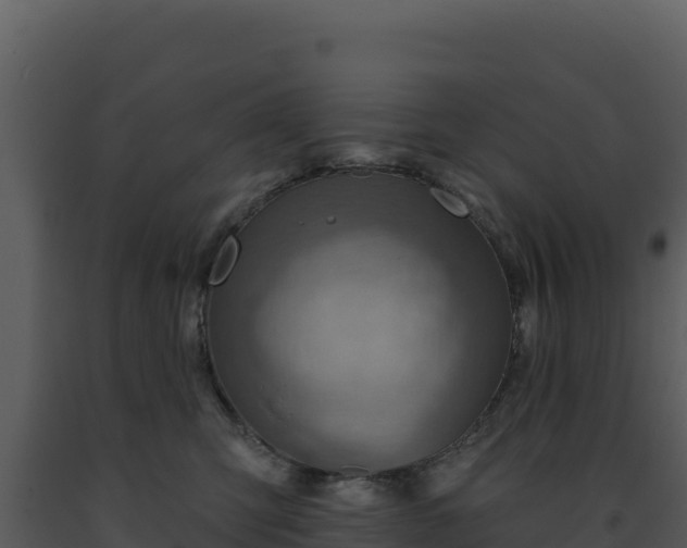 X0000093500423200710191253