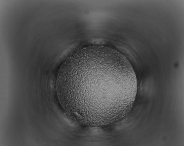 X0000093500424200710191253