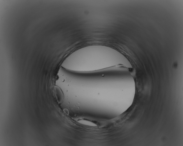 X0000093500425200710191253