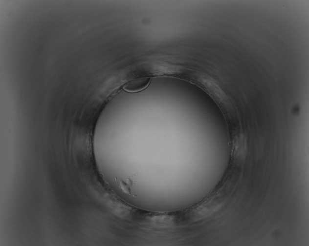 X0000093500426200710191253