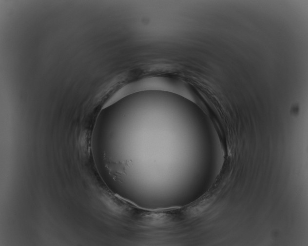 X0000093500428200710191253