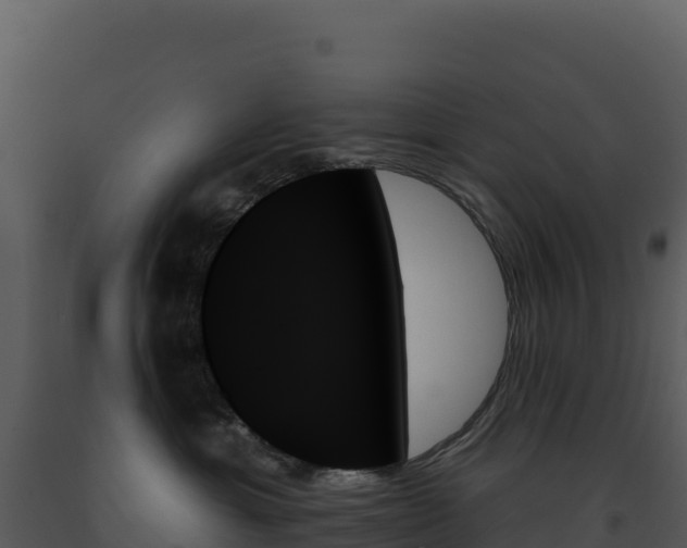 X0000093500429200710191253