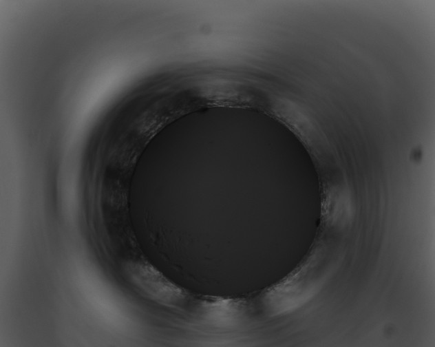 X0000093500430200710191253