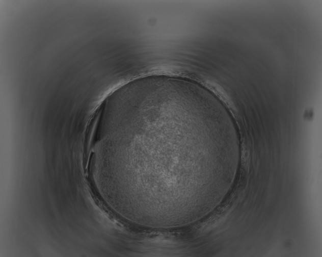 X0000093500434200710191252