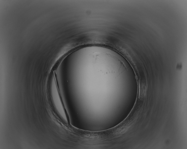 X0000093500435200710191252