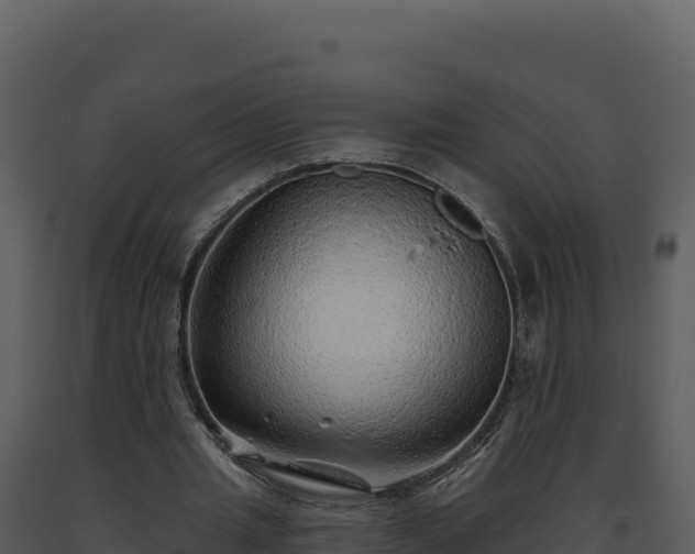 X0000093500437200710191252