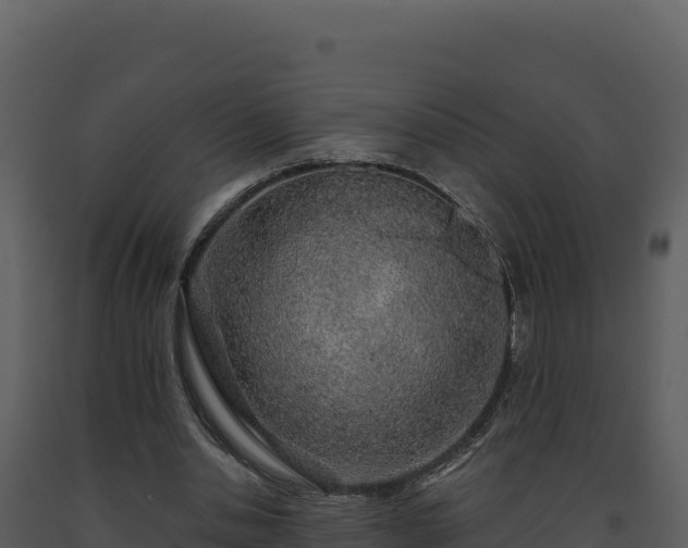 X0000093500438200710191252