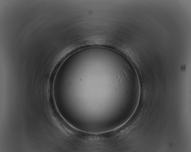 X0000093500439200710191252