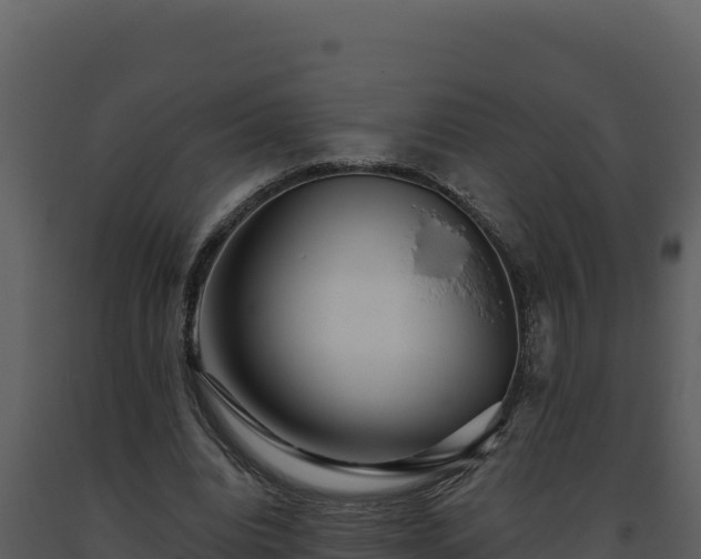 X0000093500440200710191252