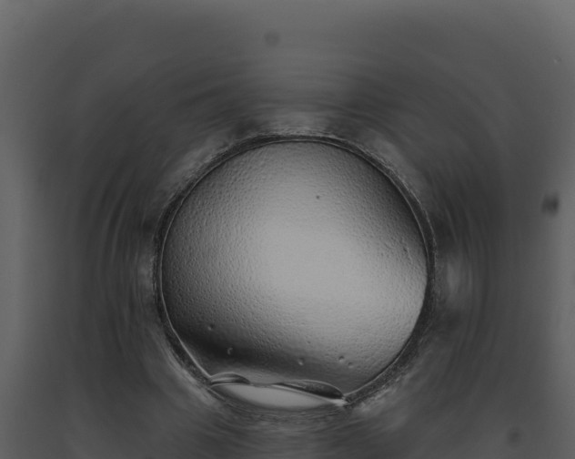 X0000093500441200710191252