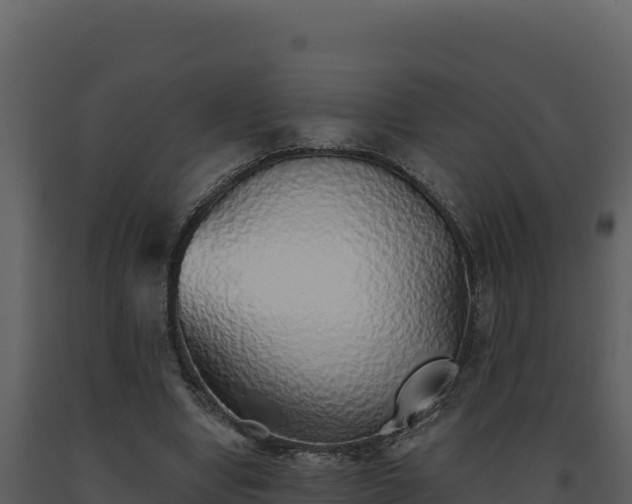 X0000093500442200710191252
