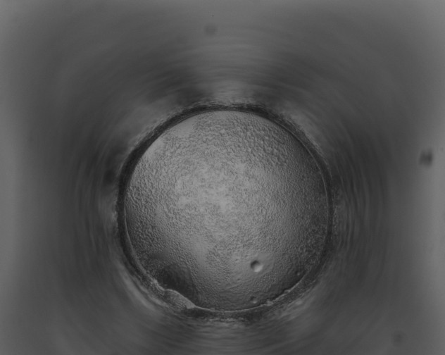 X0000093500443200710191252