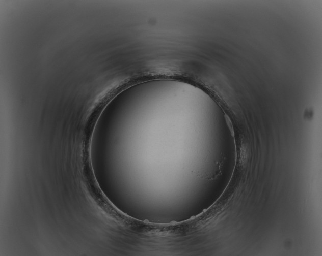 X0000093500444200710191252