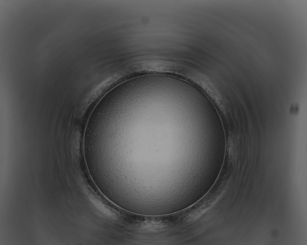 X0000093500445200710191252