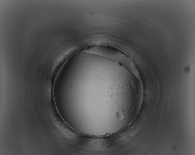 X0000093500446200710191252