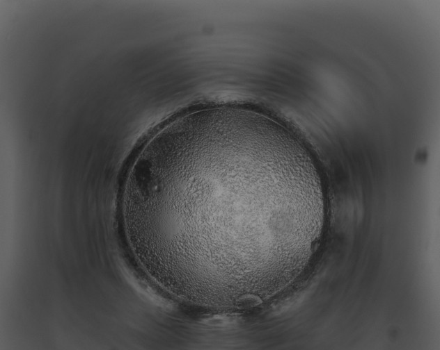 X0000093500447200710191252