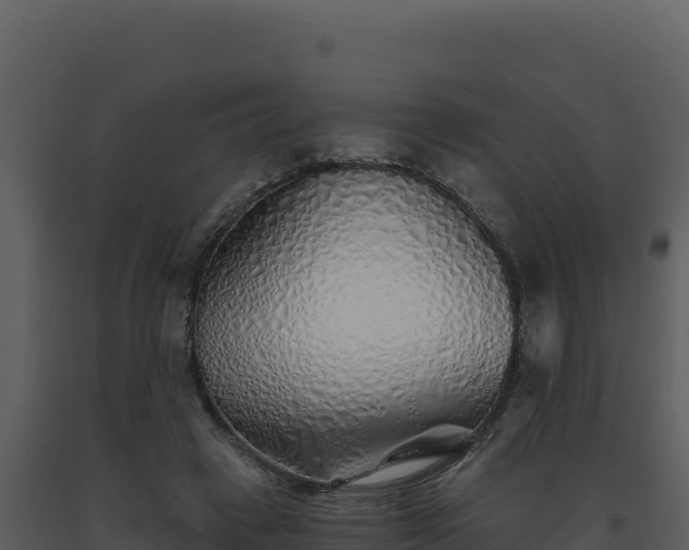 X0000093500449200710191252