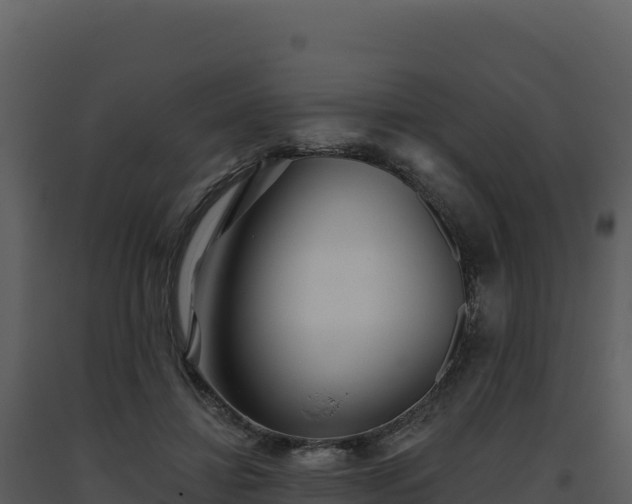 X0000093500452200710191252