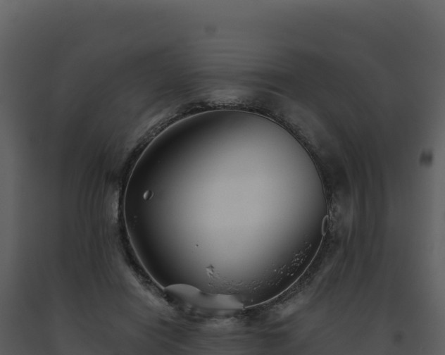 X0000093500454200710191252