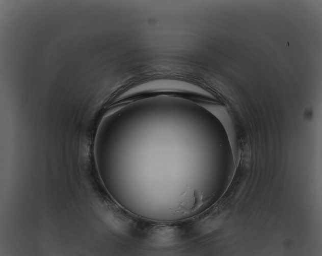 X0000093500456200710191252