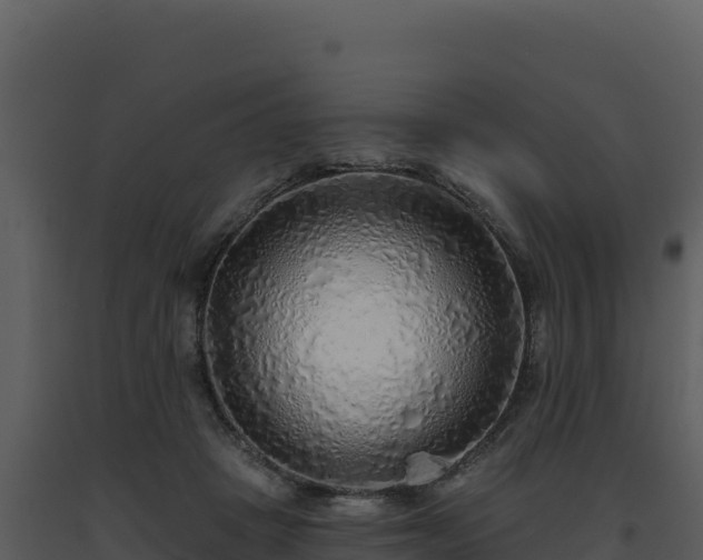 X0000093500457200710191252