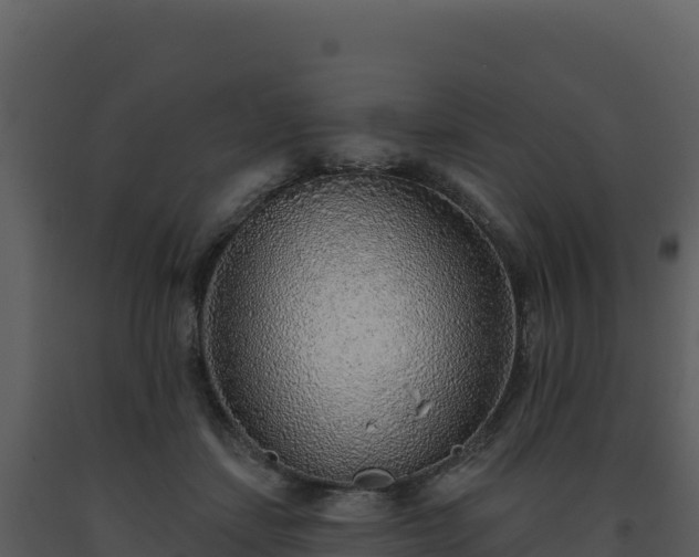 X0000093500459200710191252