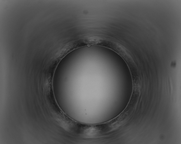 X0000093500460200710191252