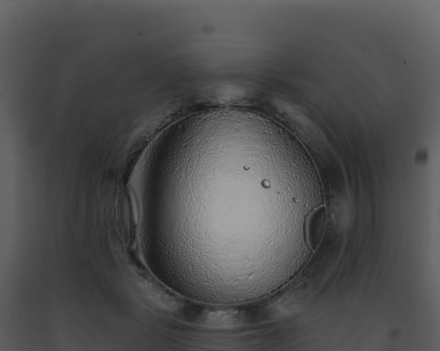 X0000093500461200710191252