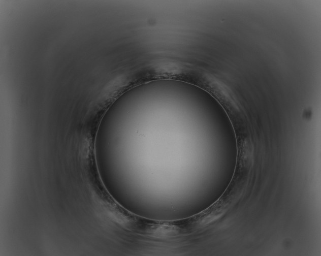 X0000093500463200710191252