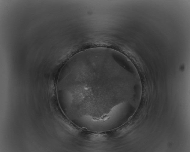 X0000093500465200710191252