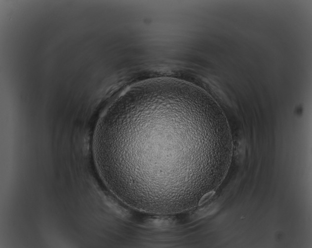 X0000093500466200710191252