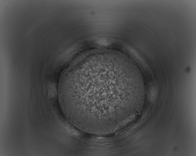 X0000093500467200710191252