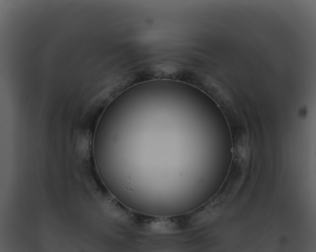 X0000093500468200710191253