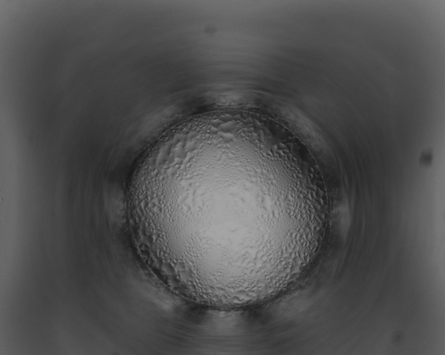 X0000093500469200710191253