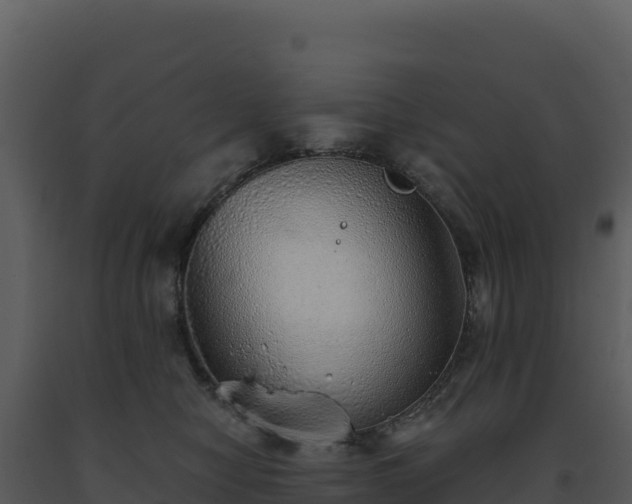 X0000093500470200710191253