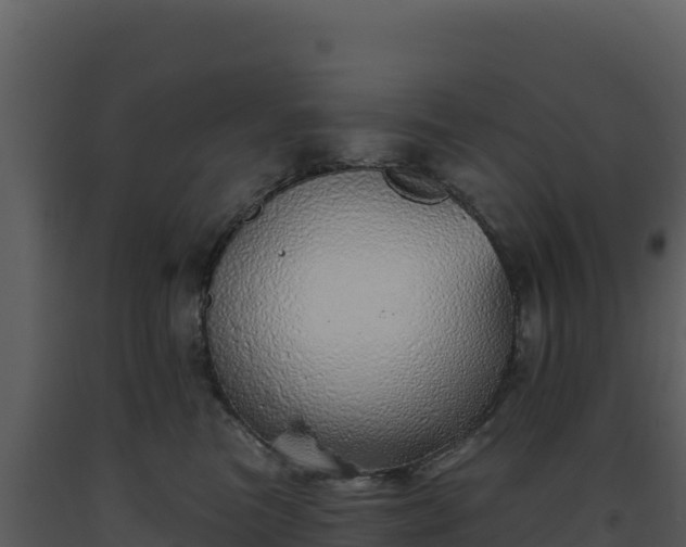 X0000093500473200710191253