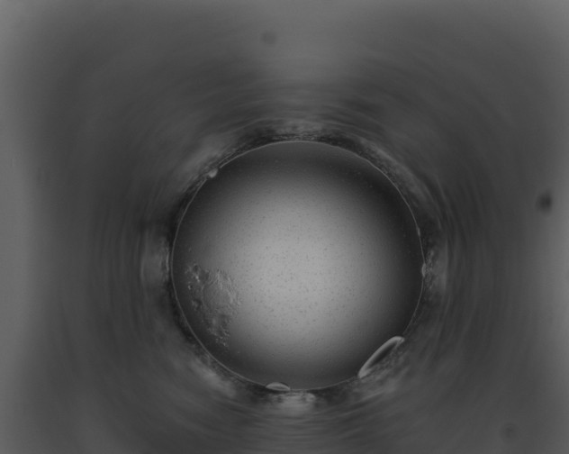 X0000093500474200710191253