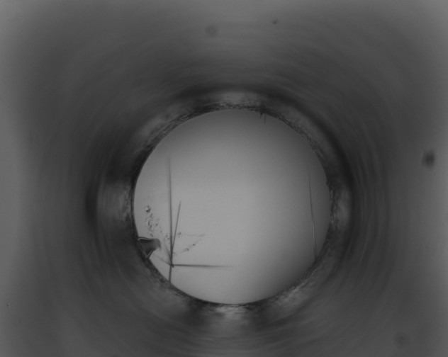 X0000093500478200710191253