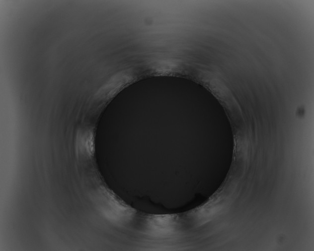 X0000093500479200710191253
