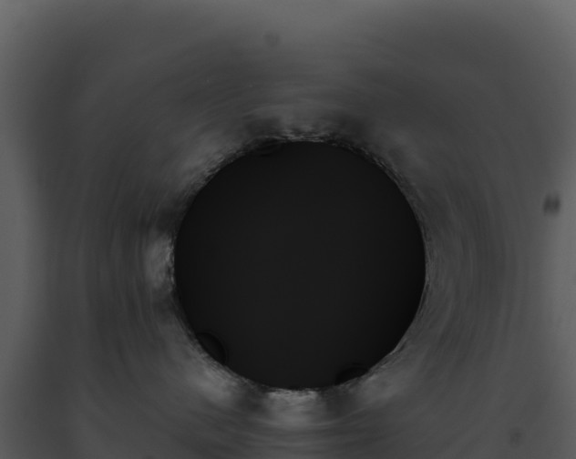 X0000093500480200710191253