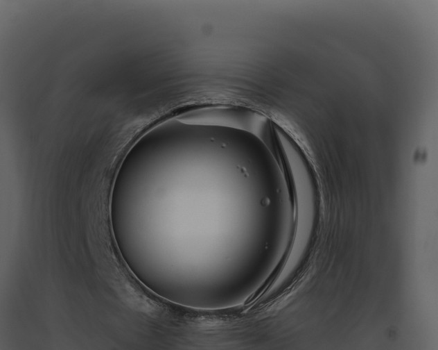 X0000093500481200710191252