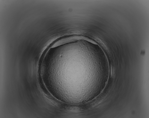 X0000093500483200710191252
