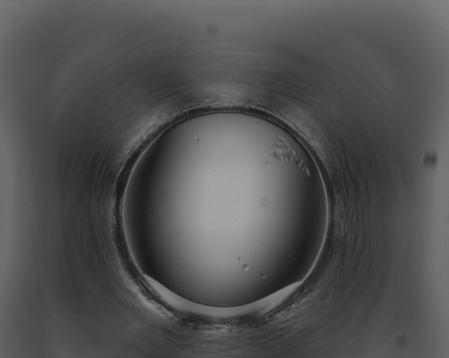 X0000093500485200710191252