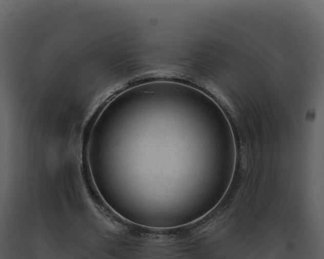 X0000093500486200710191252