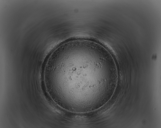 X0000093500487200710191252