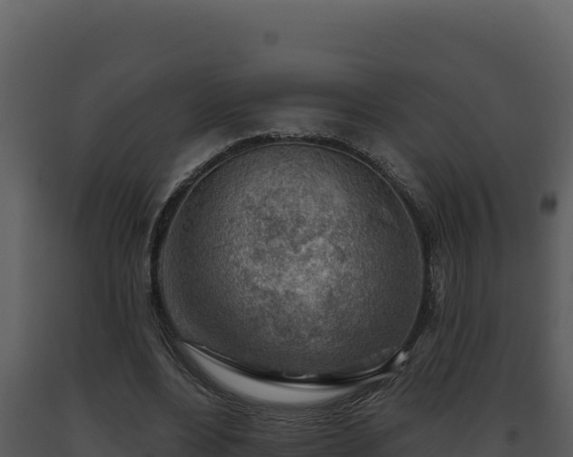 X0000093500488200710191252