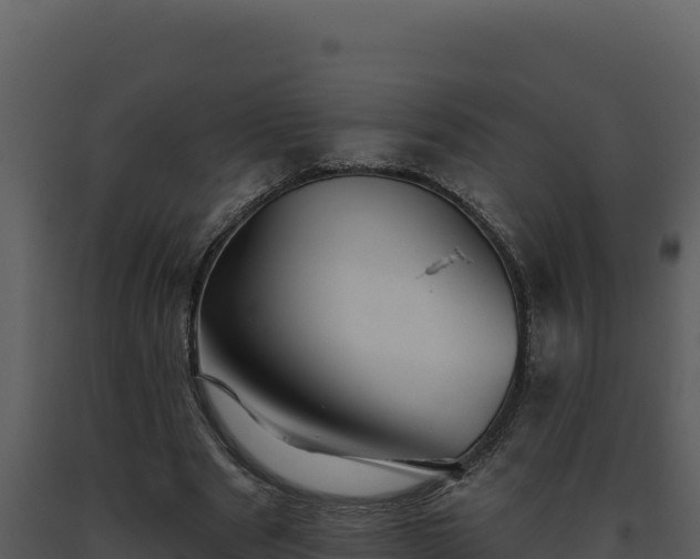 X0000093500489200710191252