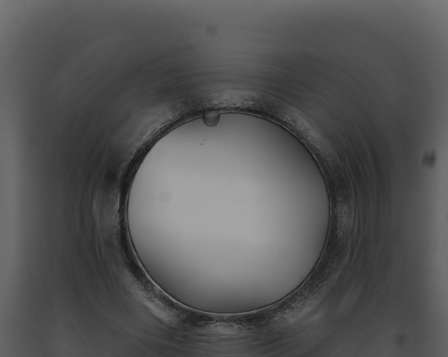 X0000093500490200710191252
