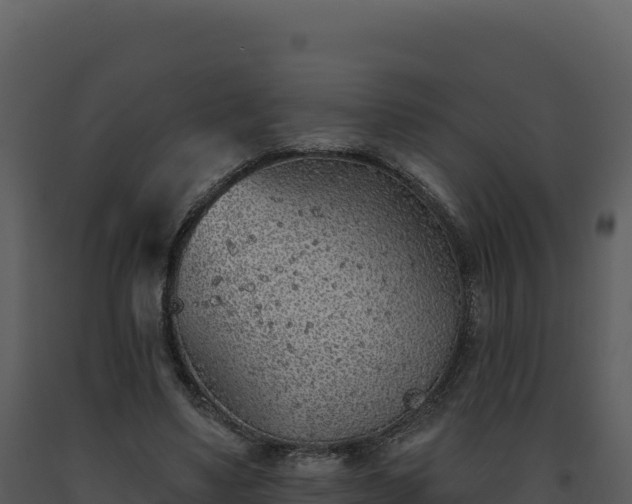 X0000093500491200710191252