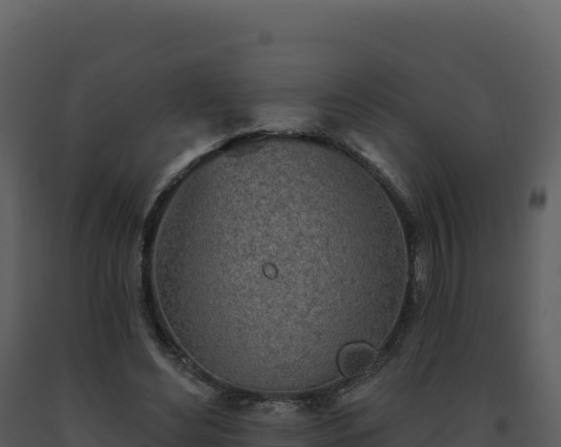 X0000093500492200710191252